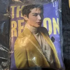SHOKICHI　クッション　レア　実写　EXILE　THE REASON
