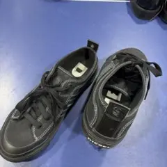 Item thumbnail for item c58c1aa9-00c9-48a7-aade-f293c67fbb2d