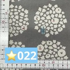 ⭐️22 ラミネート