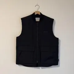 2025年最新】Carhartt メンズ ダウンベスト・キルティングベストの人気