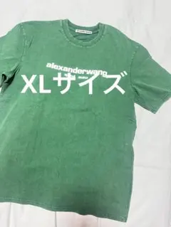 AlexanderLeeChang タイダイ Tシャツ ALEXロゴ - メルカリ