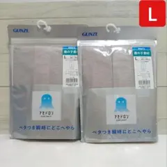 グンゼ アセドロン ニーレングス Lサイズ 2点