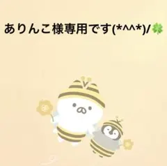 ありんこ様専用です(*^^*)/