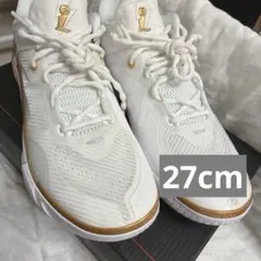 未使用品 JORDAN CP3.Х AE (LT OREWOOD - メルカリ