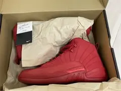 ★NIKE AIR JORDAN12 RETRO 