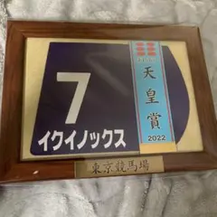 第166回 天皇賞（秋） 出走馬ミニゼッケン イクイノックス - メルカリ