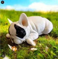 ミニチュア　フレンチブルドッグ　眠い　癒し　インテリア　ガーデンオブジェ262
