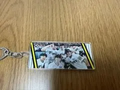 阪神タイガースシークレット優勝アクリルキーホルダー佐藤・前川・島田・中野・小野寺