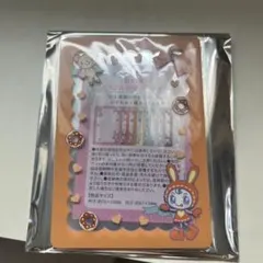 Berrie カラフル硬質カードケース