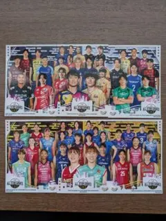 Item thumbnail for item 84fccf8c-831d-40e8-8c23-6b452e5239f2