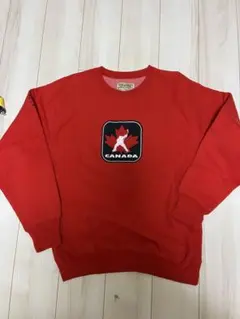 STEVE AND BARRYZ ヴィンテージトレーナー L90s