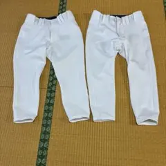 阪神タイガース ジャージ上下セット 【ホワイトタイガー】 サイズ→Ｌ 阪神タイガース ジャージ上下セット 【ホワイトタイガー】 サイズ→L