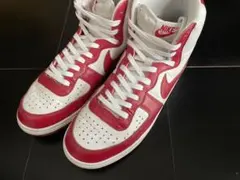 NIKEターミネーター HIGH 27㎝