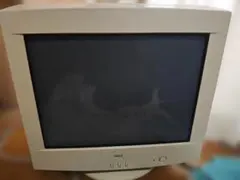 2025年最新】crt NECの人気アイテム - メルカリ