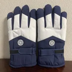 裏起毛　スキースノボグローブ　防寒 スマホ使用可　メンズ　ネイビー×ホワイト