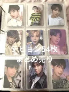 テヒョントレカまとめ売り