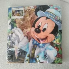 東京ディズニーシー 2016 クリスマス ワイドバスタオル TDS