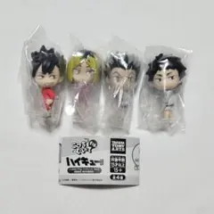 ハイキュー ＊ こっちむいてFig. 黒尾 研磨 木兎 赤葦