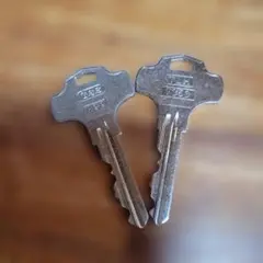 Item thumbnail for item 8c5ac2f1-cb0c-4393-9b83-3aae27020070