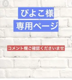 ぴよこ様 リクエスト 20点 まとめ商品
