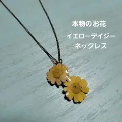本物のお花のネックレス イエローデイジー