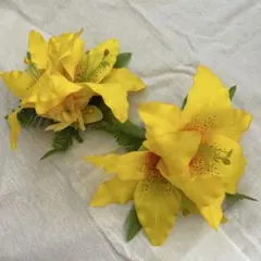 Item thumbnail for item 7d142755-b365-4f39-905f-3423c1bb942d