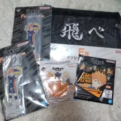 一番くじ ハイキュー E賞 メッシュポーチ 烏野高校　H賞　日向翔洋