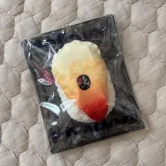 メロジョイ　極み鮨　極み寿司　ホッキ貝