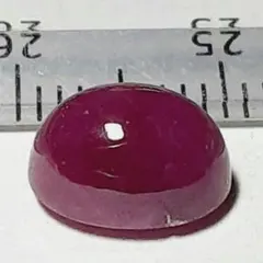 8828