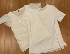 【セット販売】レディース半袖シャツ