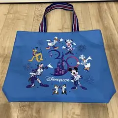 ディズニーランド　パリ30周年記念メダル　クリスタル製日本未発売品 ディズニーランド パリ30周年記念メダル クリスタル製日本未発売