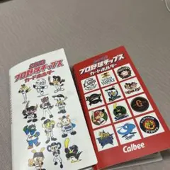 プロ野球チップス2018 2019 カードフォルダー（カード付き）