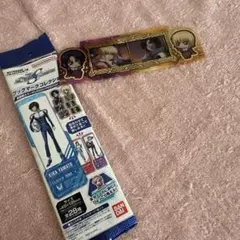 【シークレット】ガンダムSEED FREEDOM アスラン & カガリ