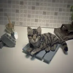 キジトラ 羊毛フェルト グラスアイs サンプルページ オーダー 受注