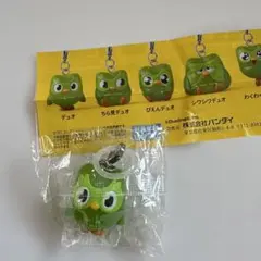 duolingo めじるしアクセサリー