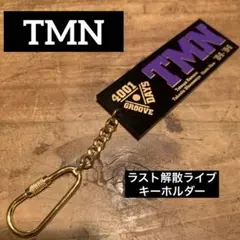 2026年最新】4001 DAYS GROOVE TMNの人気アイテム - メルカリ
