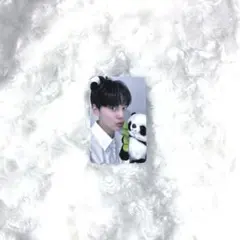 ゼベワン You had me at HELLO パンダ トレカ ✰ ギュビン