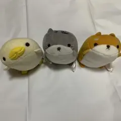 2026年最新】もっちぃずぅ ぬいぐるみの人気アイテム - メルカリ