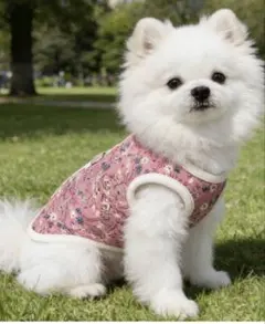 【韓国発大人気】犬服ハルモニチョッキ s〜2XLまでsizeあります　新品未使用