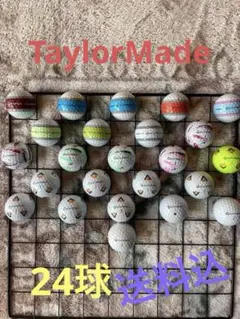 Item thumbnail for item 3a20d364-b6ed-4227-8eec-775a6a57e4cc