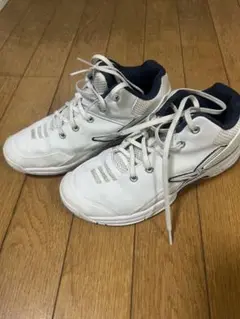 22cm