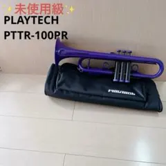 Item thumbnail for item 97feaff0-3bd1-4c08-8245-b87b7245be06