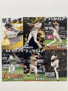 プロ野球チップス 2025 福岡ソフトバンクホークス まとめ売り 6枚