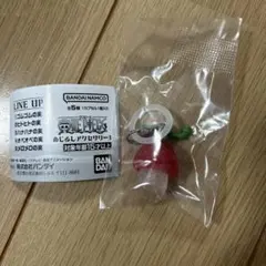 ガチャガチャ　ワンピース　めじるしアクセサリー3 ヒトヒトの実　カプセルトイ