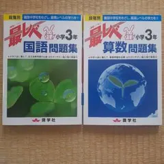 最レベ国語・算数問題集小学3年 段階別 難関中学校