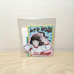 Item thumbnail for item 2d0172c8-0462-4a05-a14d-0e9356d364c7