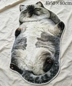 ヘソ天 シャム猫 猫柄 玄関マット 癒し猫デザインラグ 滑り止め付き