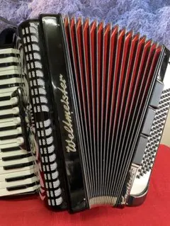 2026年最新】アコーディオンの人気アイテム - メルカリ