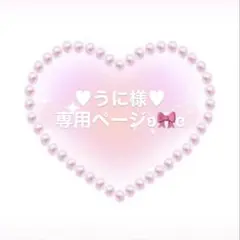 ♥うに様♥専用ページとなります°・*:.。.☆