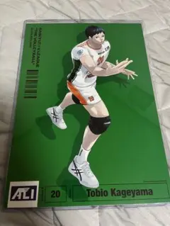 ハイキュー　Vリーグ ポスター　影山